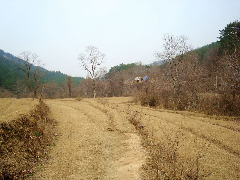neo_img_dsc09368.jpg