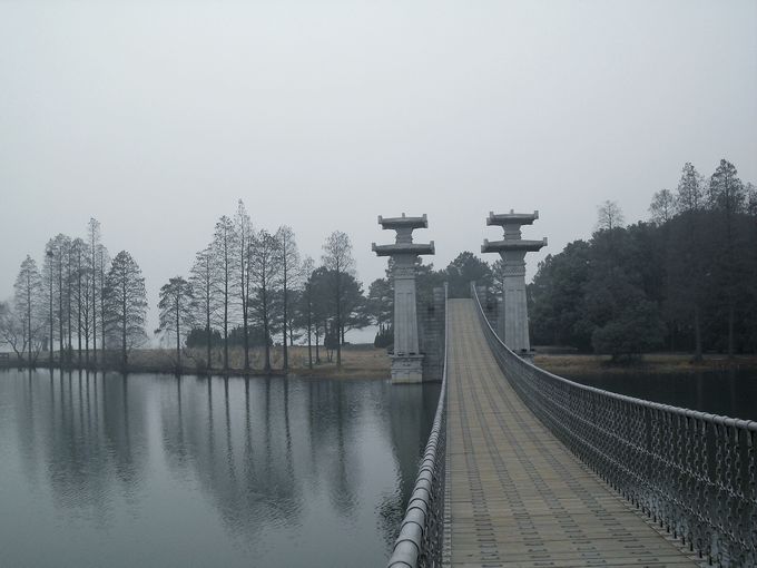sdc15161.jpg