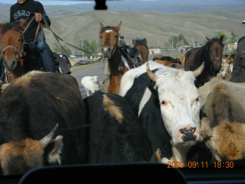 dscn2836.jpg