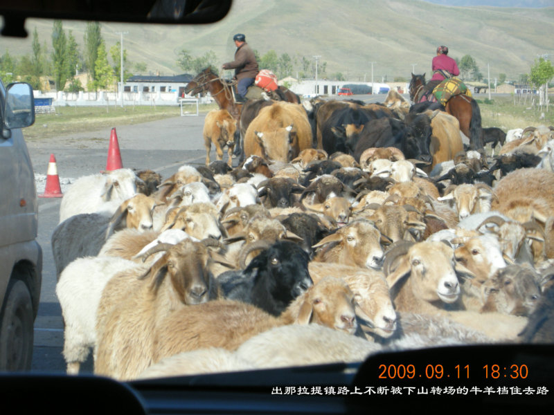 dscn2837.jpg