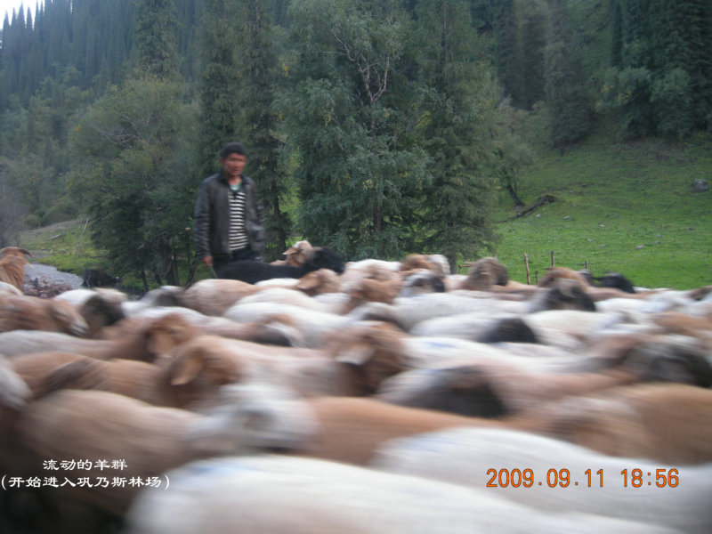 dscn2838.jpg