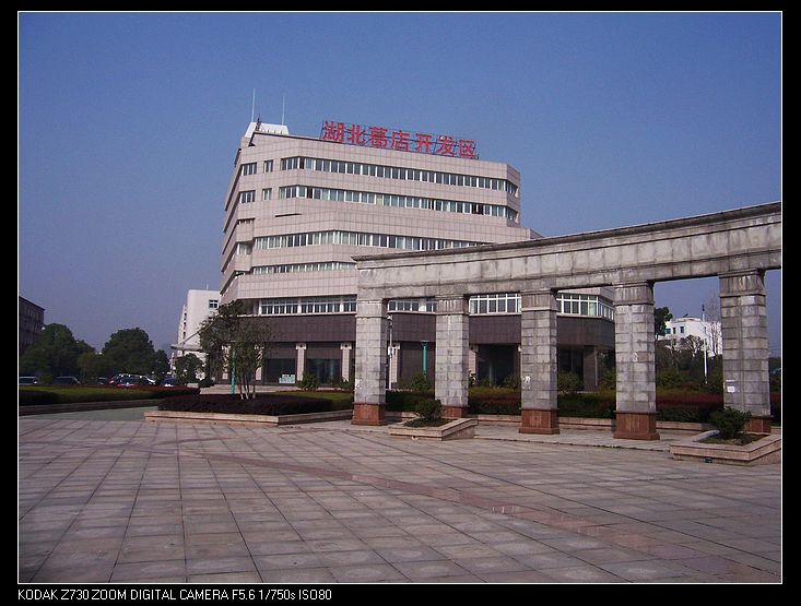 2010-3-16 001.jpg