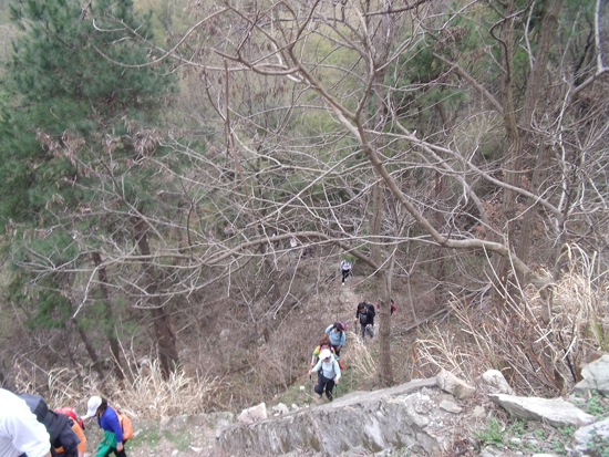 Ӻľɽ2010.03.13 094.jpg