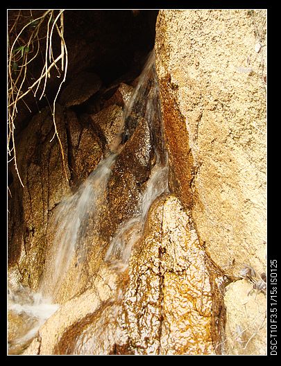 neo_img_dsc03248.jpg