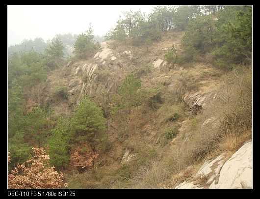 neo_img_dsc03255.jpg