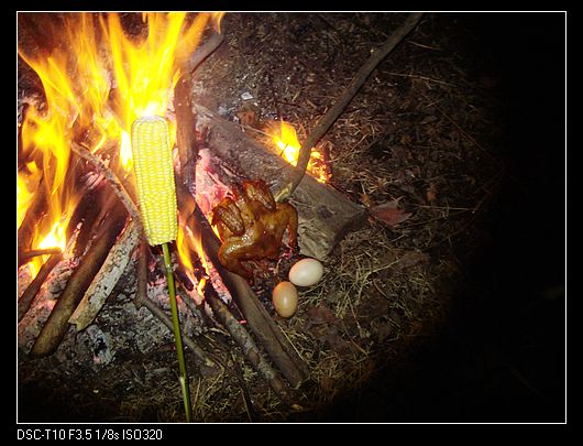 neo_img_dsc03274.jpg