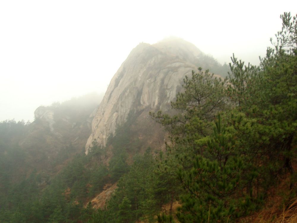 neo_img_dsc09487.jpg