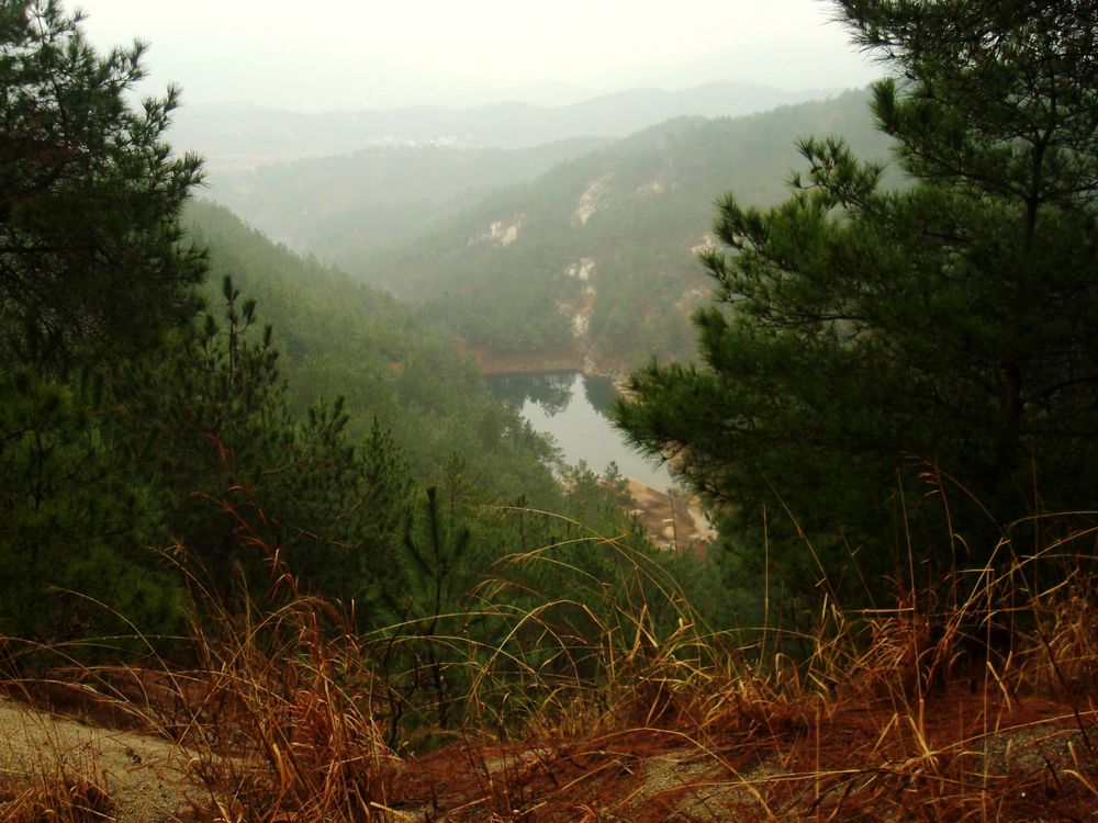 neo_img_dsc09486.jpg