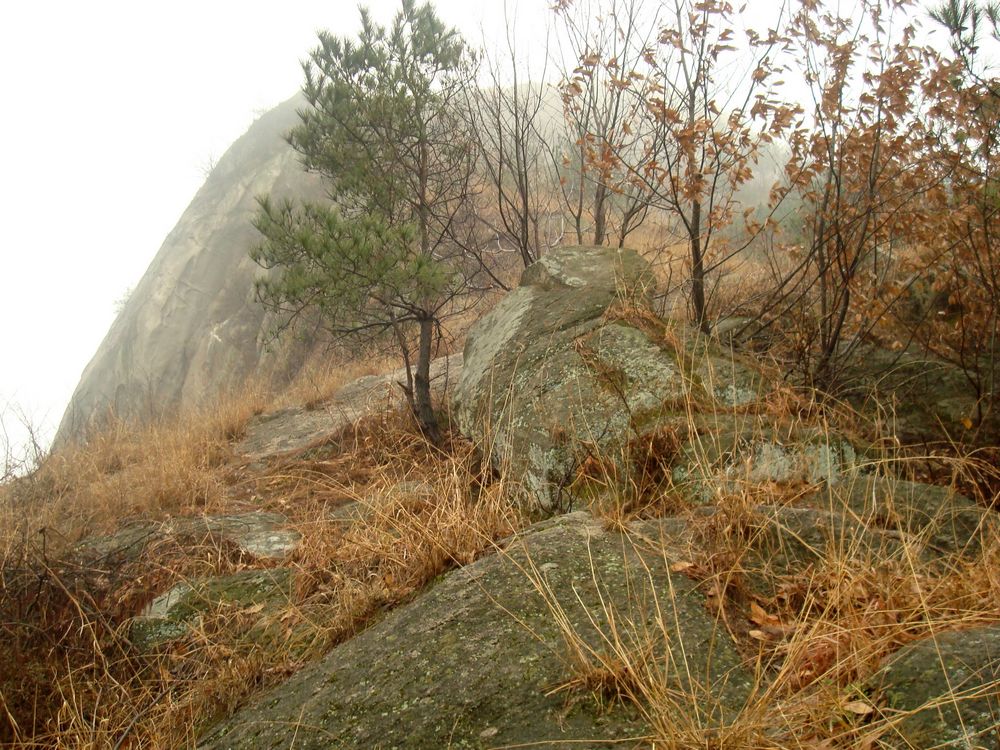 neo_img_dsc09497.jpg