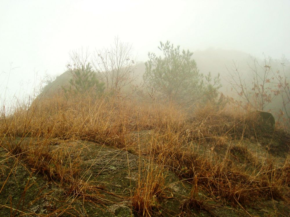 neo_img_dsc09498.jpg