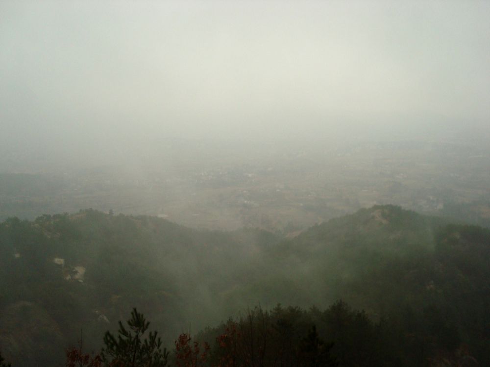neo_img_dsc09500.jpg