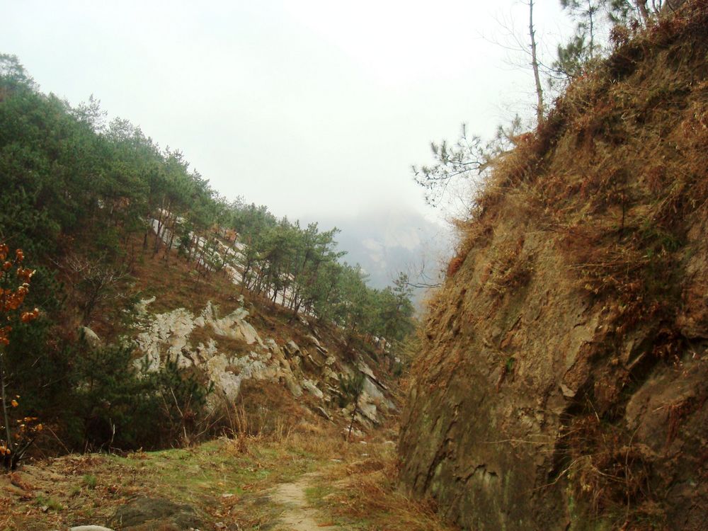 neo_img_dsc09528.jpg