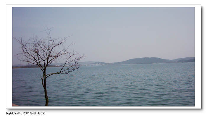 dsci0048.jpg