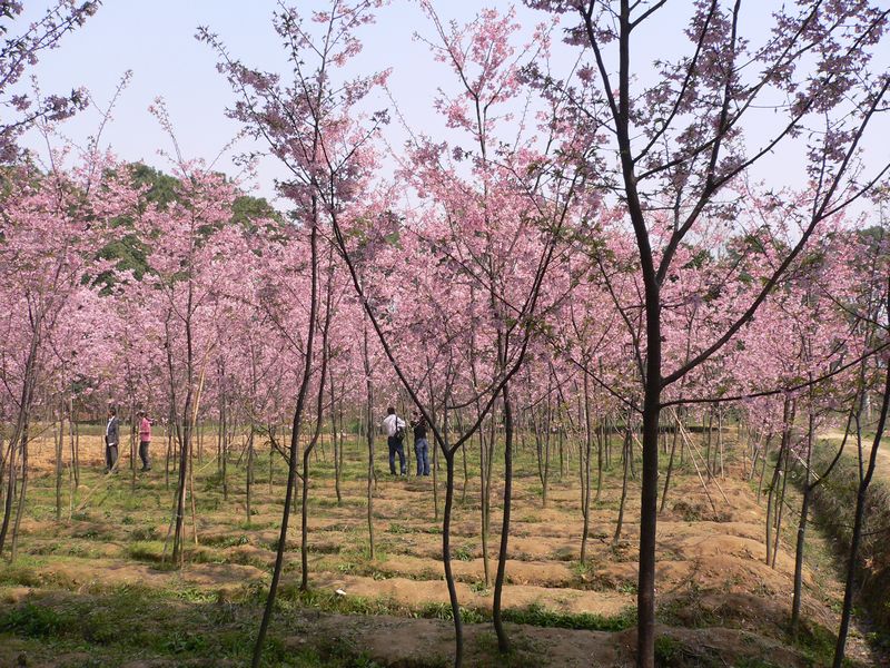 p1070832.jpg