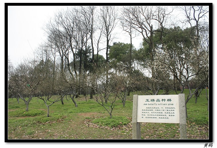 Ƭ 074.jpg