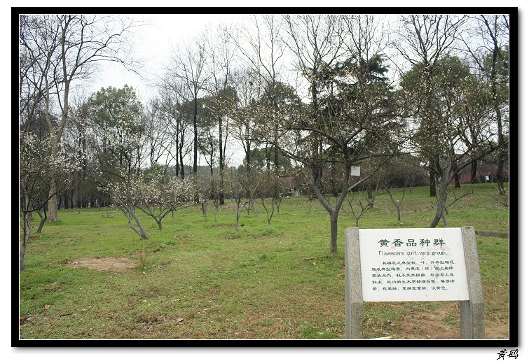 Ƭ 076.jpg