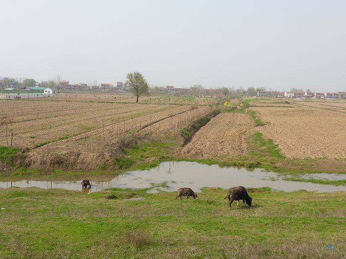 p1010845.jpg