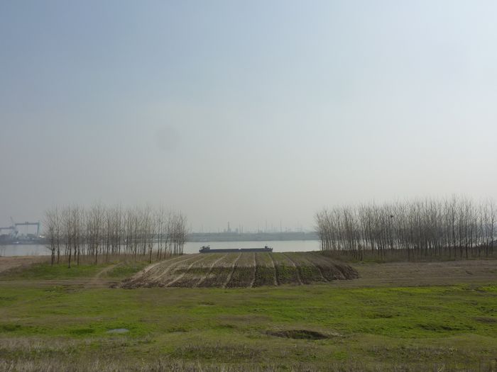 p1010824.jpg