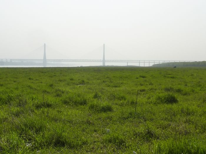 p1010861.jpg