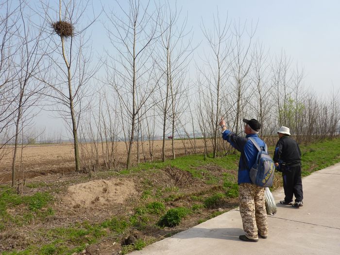 p1010856.jpg