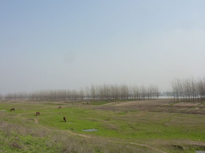 p1010839.jpg