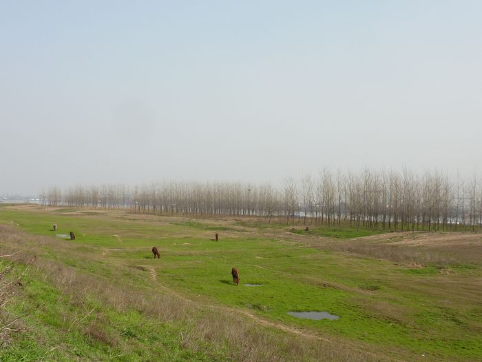 p1010841.jpg