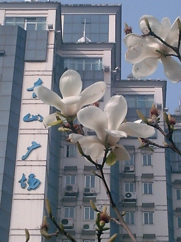 pict1594.jpg