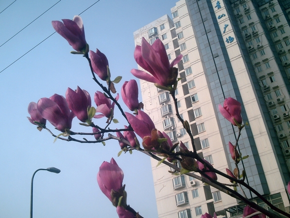 pict1595.jpg
