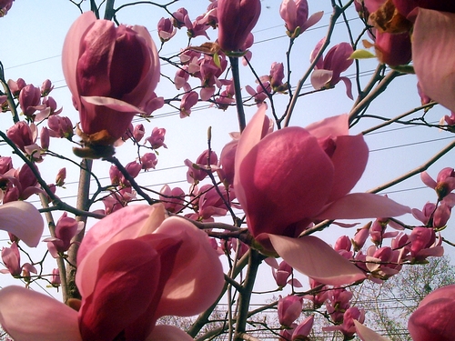 pict1618.jpg