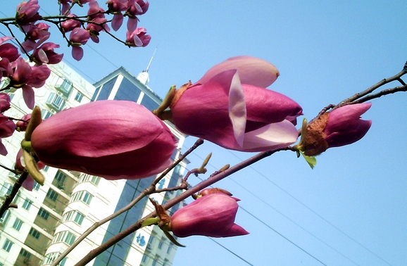 pict1620.jpg