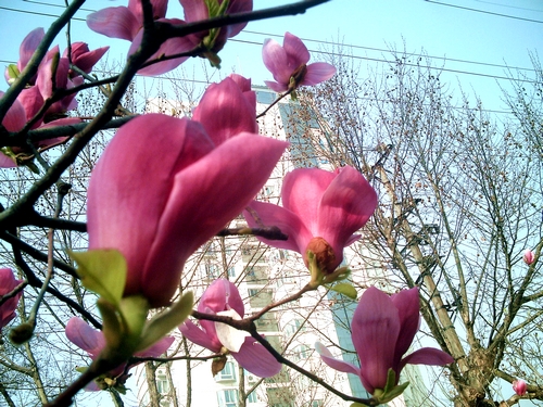 pict1633.jpg