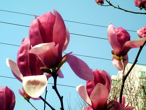 pict1627.jpg