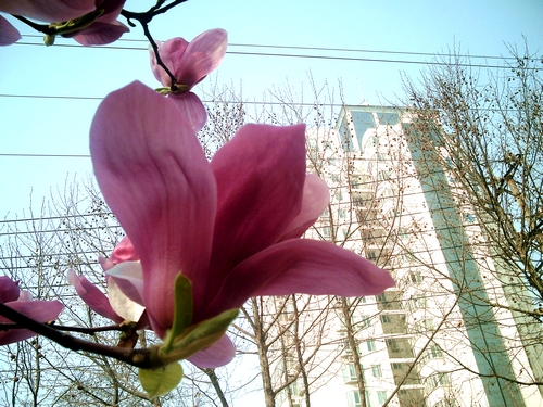 pict1632.jpg