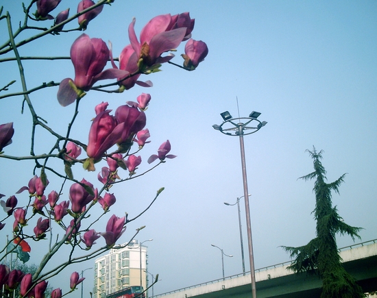pict1596.jpg
