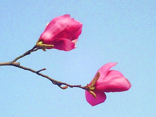 pict1600.jpg