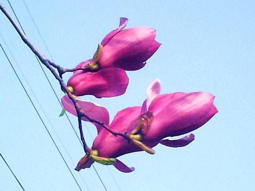 pict1601.jpg