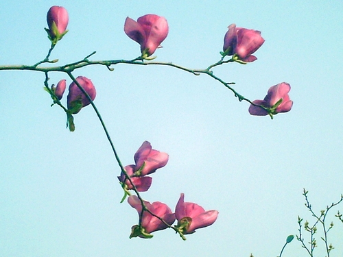 pict1599.jpg