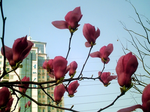 pict1607.jpg
