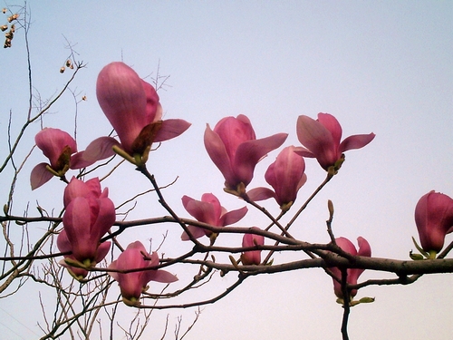 pict1608.jpg