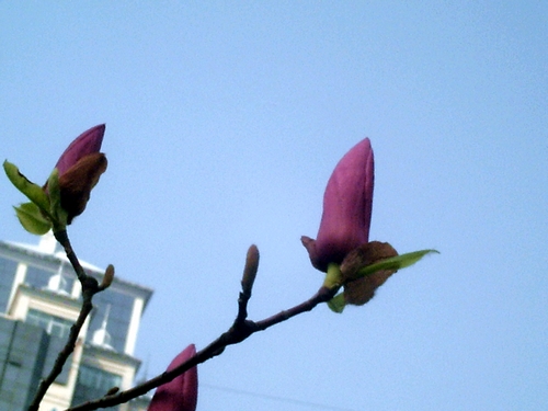 pict1609.jpg