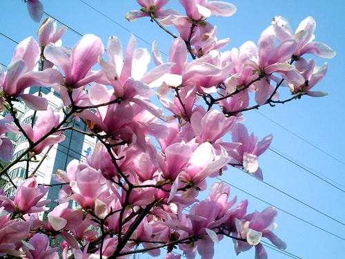 pict1625.jpg