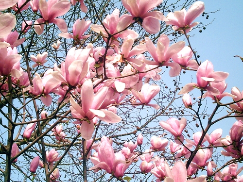 pict1634.jpg