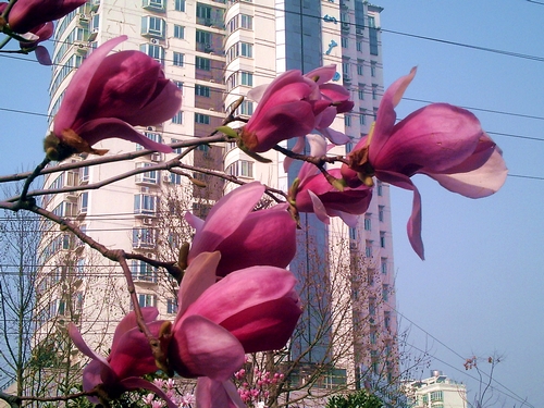 pict1619.jpg