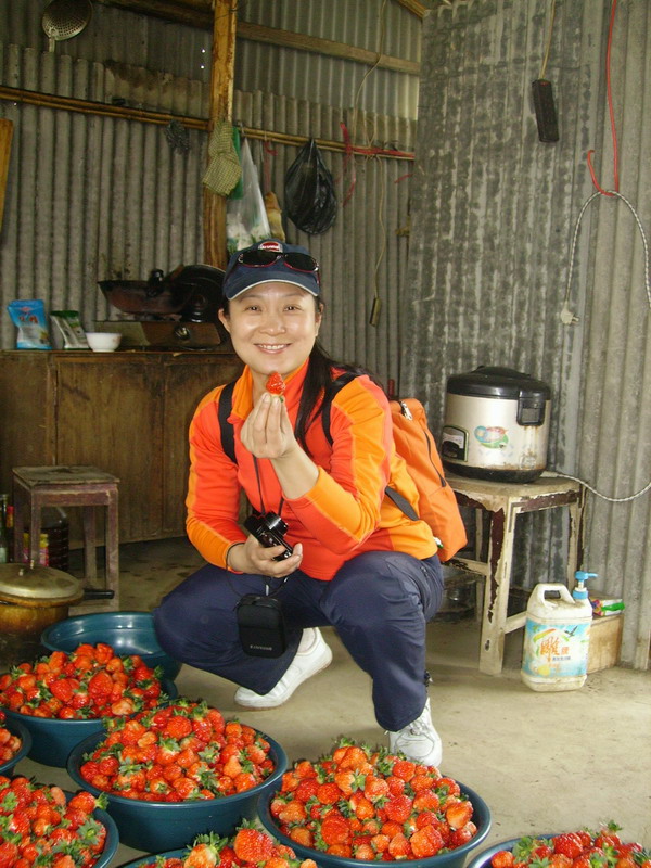 imgp0191.jpg