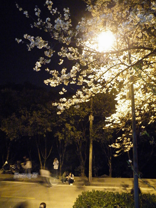 dscf6219.jpg