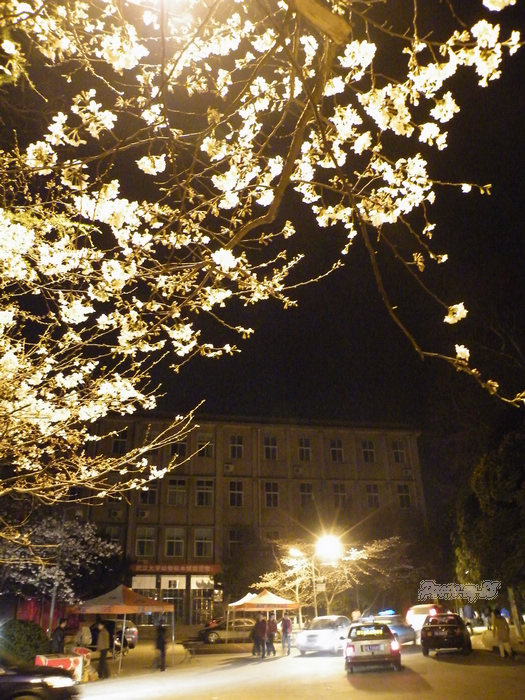 dscf6284.jpg