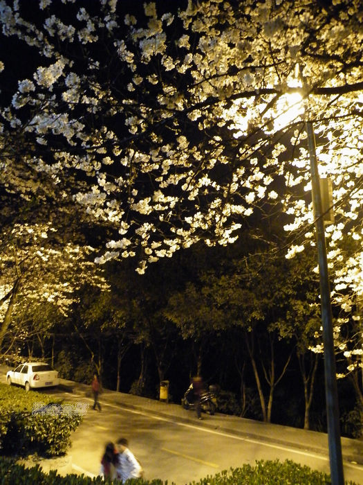 dscf6315.jpg