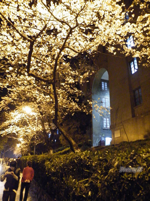 dscf6299.jpg