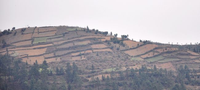 ǭ 300.jpg