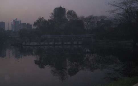 005.jpg